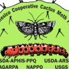 Cactoblastis International Program Logo