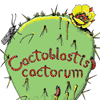 Cactus moth t-shirt